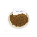 Animal Feed Fish Meal